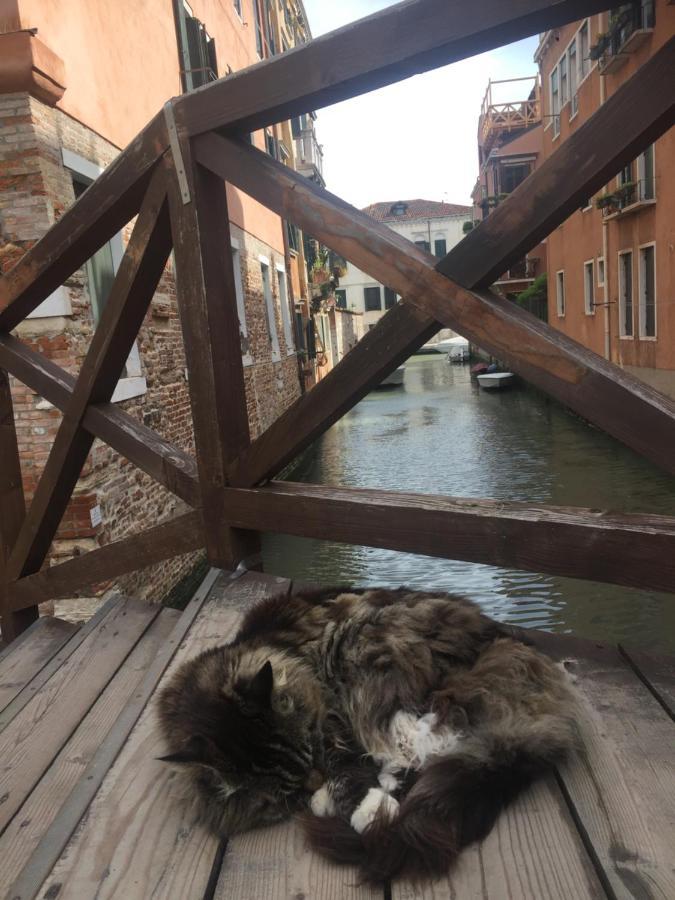 Mori 3, In Centro Storico Di Venezia Lägenhet Exteriör bild